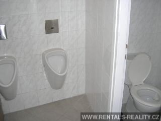 Pic 12