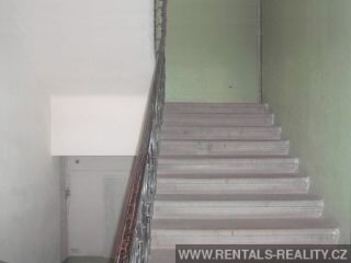 Pic 5