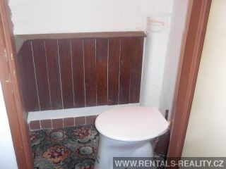 Pic 11