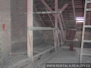 Pic 12