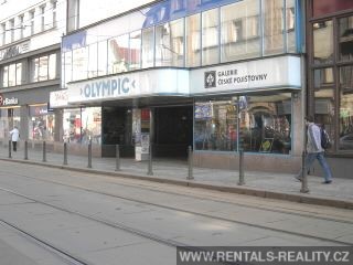 Pic 8