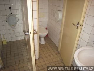 Pic 12