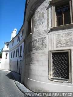 Pic 19