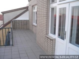 Pic 15