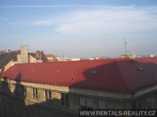 Pic 16