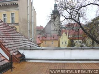 Pic 16