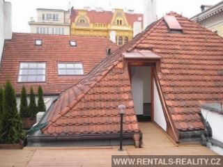 Pic 19