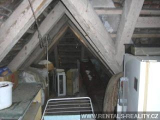 Pic 10