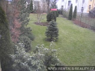 Pic 5