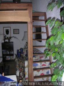 Pic 7