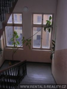 Pic 5