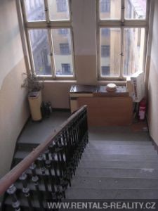 Pic 6