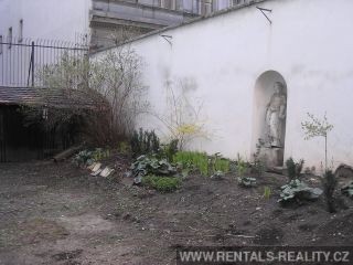 Pic 8