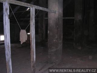 Pic 10