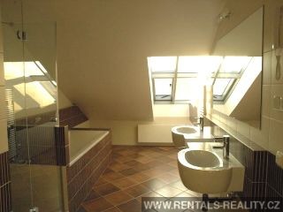 Pic 5
