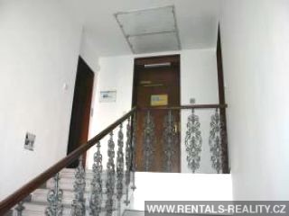 Pic 8