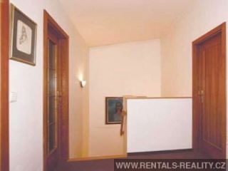 Pic 10