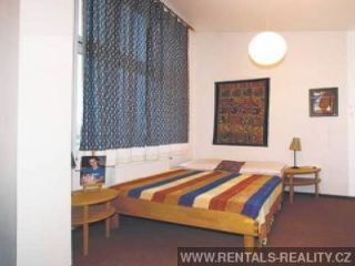 Pic 11