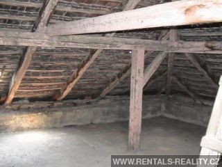 Pic 5