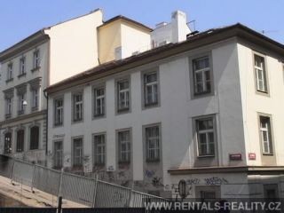 Pic 13