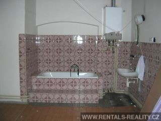 Pic 5
