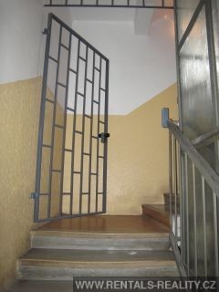 Pic 15