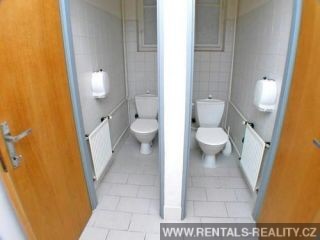 Pic 8