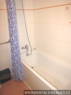 Pic 15
