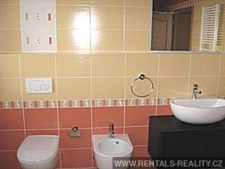 Pic 12