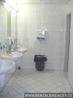 Pic 5