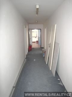 Pic 10