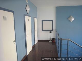 Pic 11