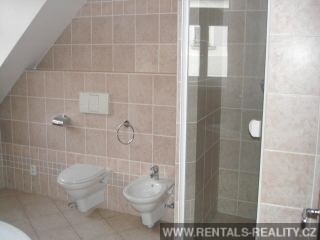 Pic 8