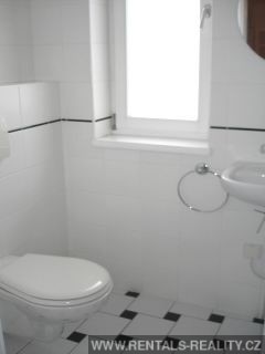 Pic 10
