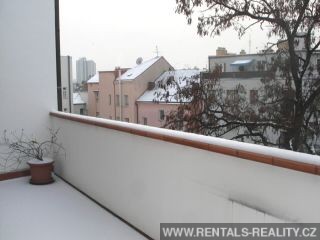 Pic 11