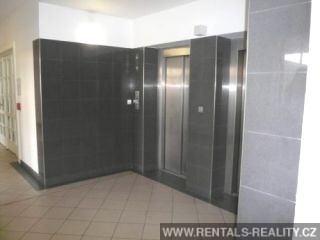 Pic 3