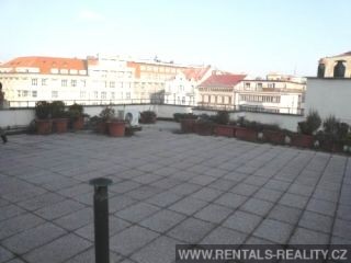 Pic 5