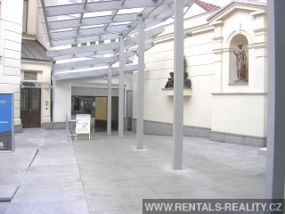 Pic 6