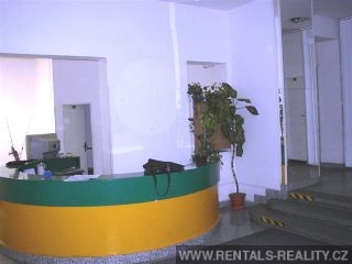 Pic 7