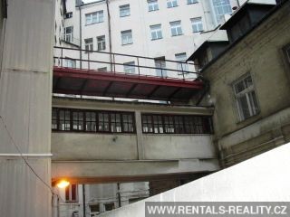 Pic 11