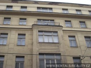 Pic 13