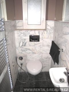 Pic 16