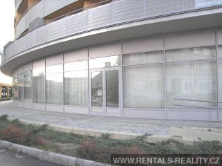 Pic 11
