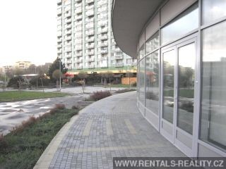 Pic 13