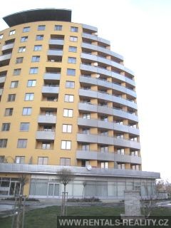 Pic 16