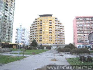 Pic 19