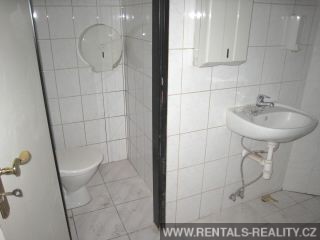 Pic 16