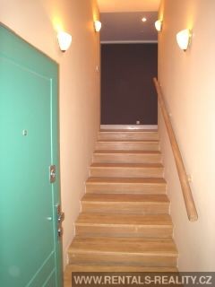 Pic 16