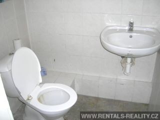 Pic 15