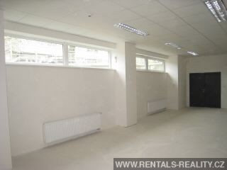 Pic 11